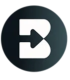 Brisk Teaching - Logo