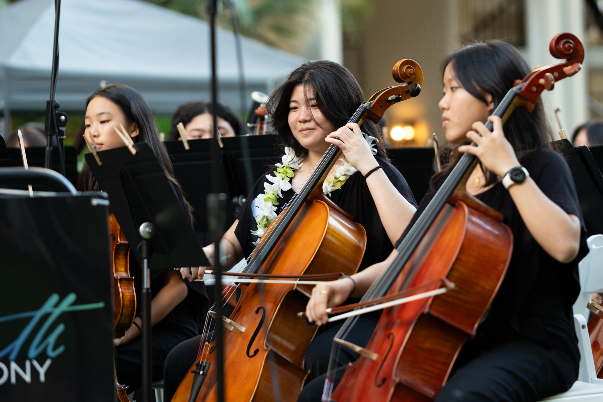 Image of people playing cello in a concert