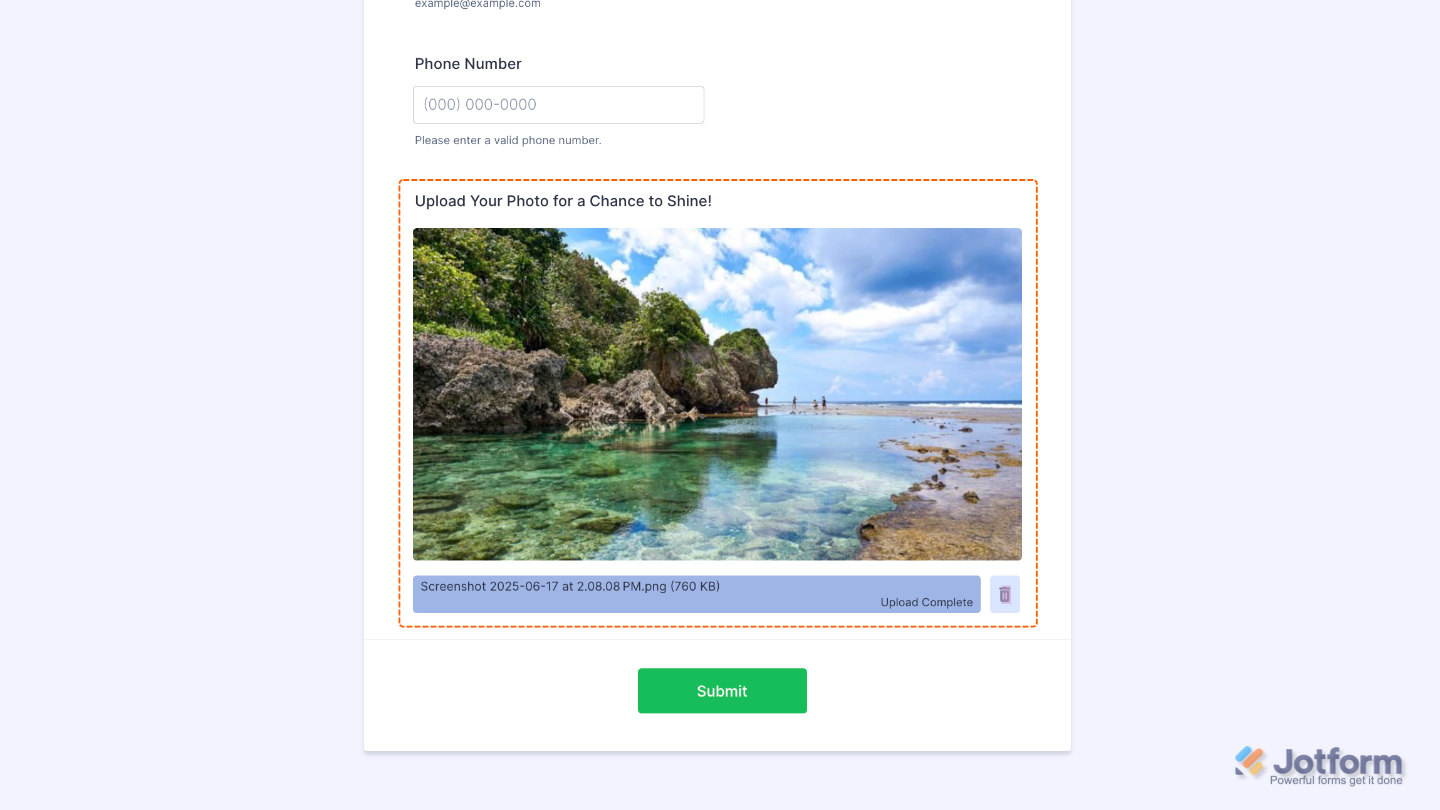 Image Upload Preview widget added to a form, allowing users to preview uploaded images before submitting