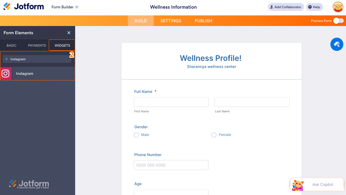 Form Elements menu under Widgets tab showing Instagram widget being searched and selected