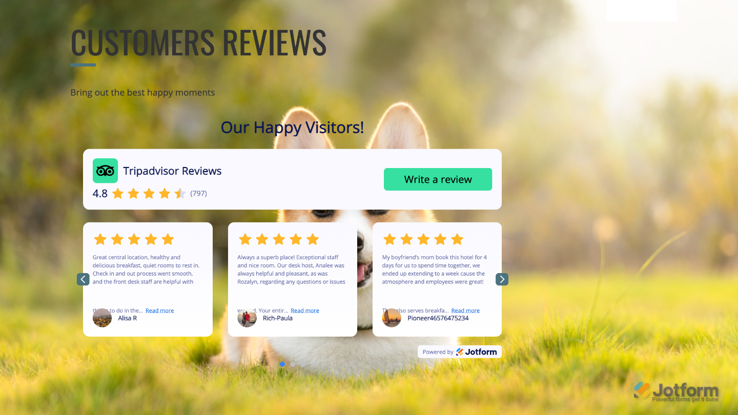 Example website displaying the Tripadvisor Reviews widget with real-time review updates after embedding the Jotform code