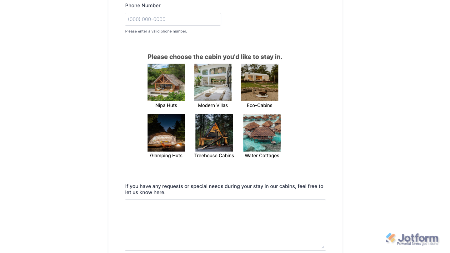 Image Choices widget successfully added to a form, displaying one question at a time with clickable image options