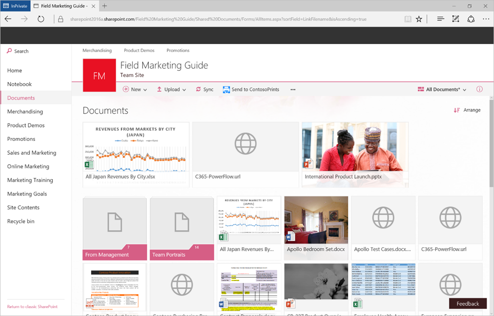Microsoft SharePoint site displaying a document library with files, activity updates, and collaboration tools within the Microsoft 365 environment