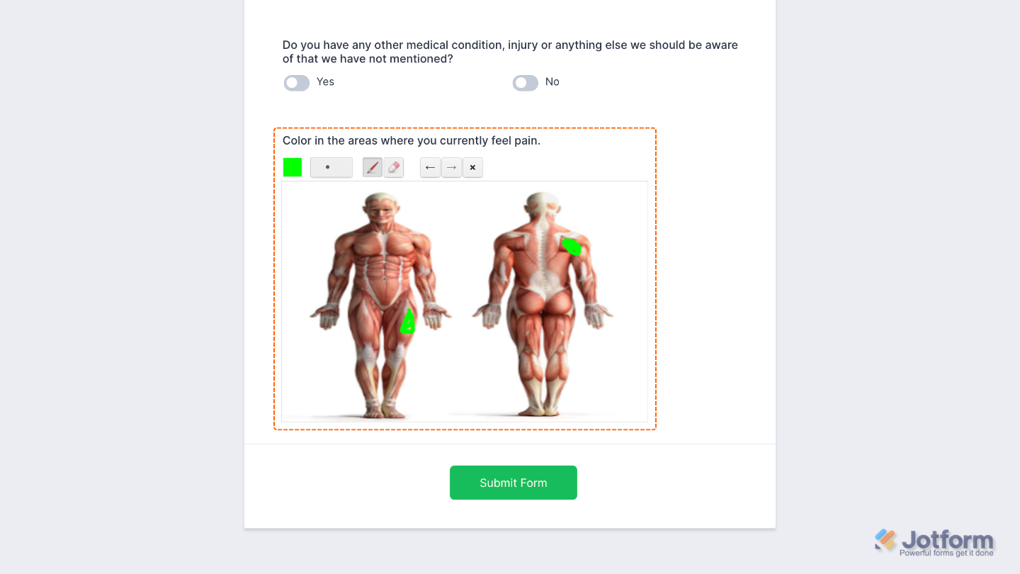 Draw on Image widget example with interactive image annotation field inside an online form