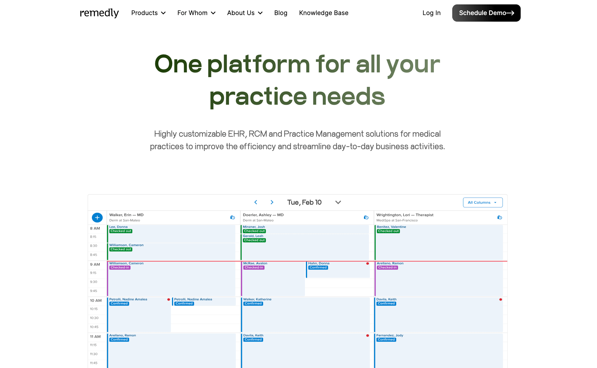 Screenshot of Remedly landing page, showing a headline "One platform for all your practice needs"