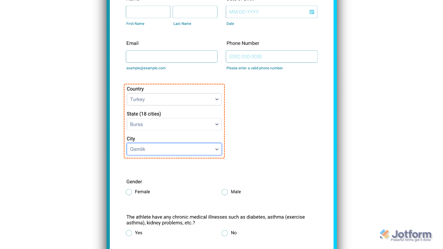 Form showing the All States and Cities widget added, displaying a country field with either all countries or a limited selection
