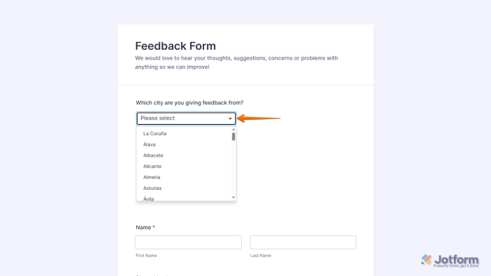 How to Add and Set Up the Cities of Spain Widget on Your Form