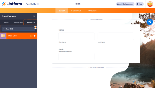How to Add and Set Up the Data Grid Widget on Your Form