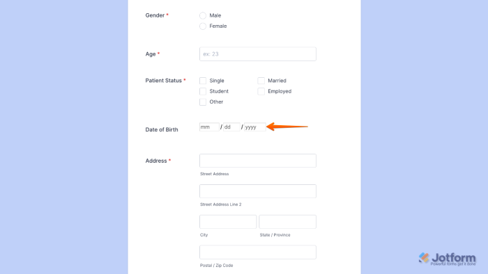 How to Add and Set Up the Fixed Format Widget on Your Form