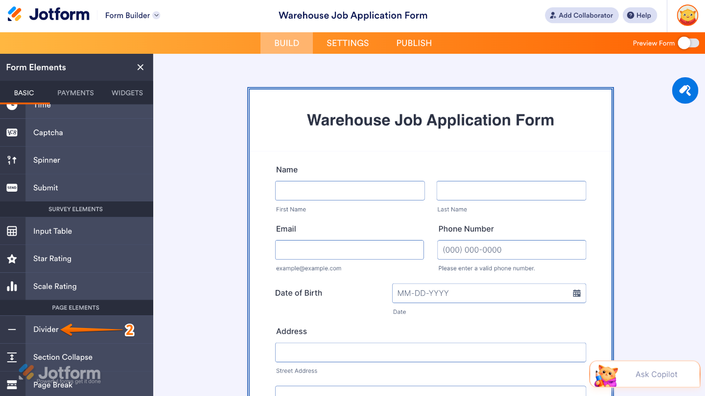 Form Elements panel under the Basic tab showing the Divider element being selected and added to a form