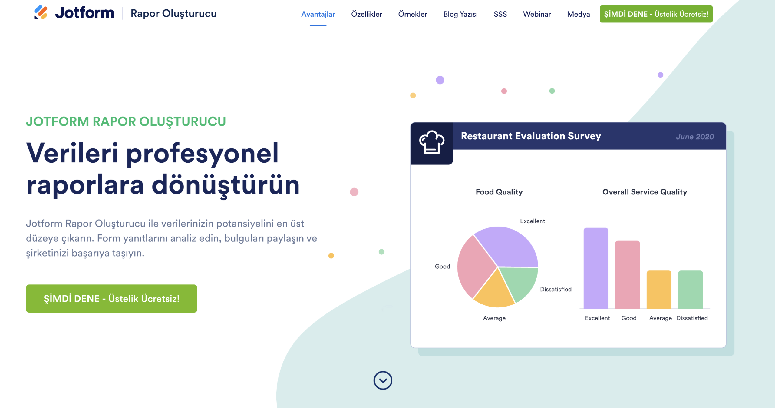 Jotform Rapor Oluşturucu Açılış Sayfası