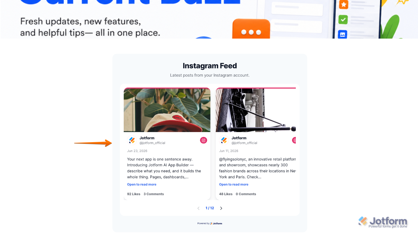 Sample website showing the Instagram widget with live Instagram posts, profile information, and media content
