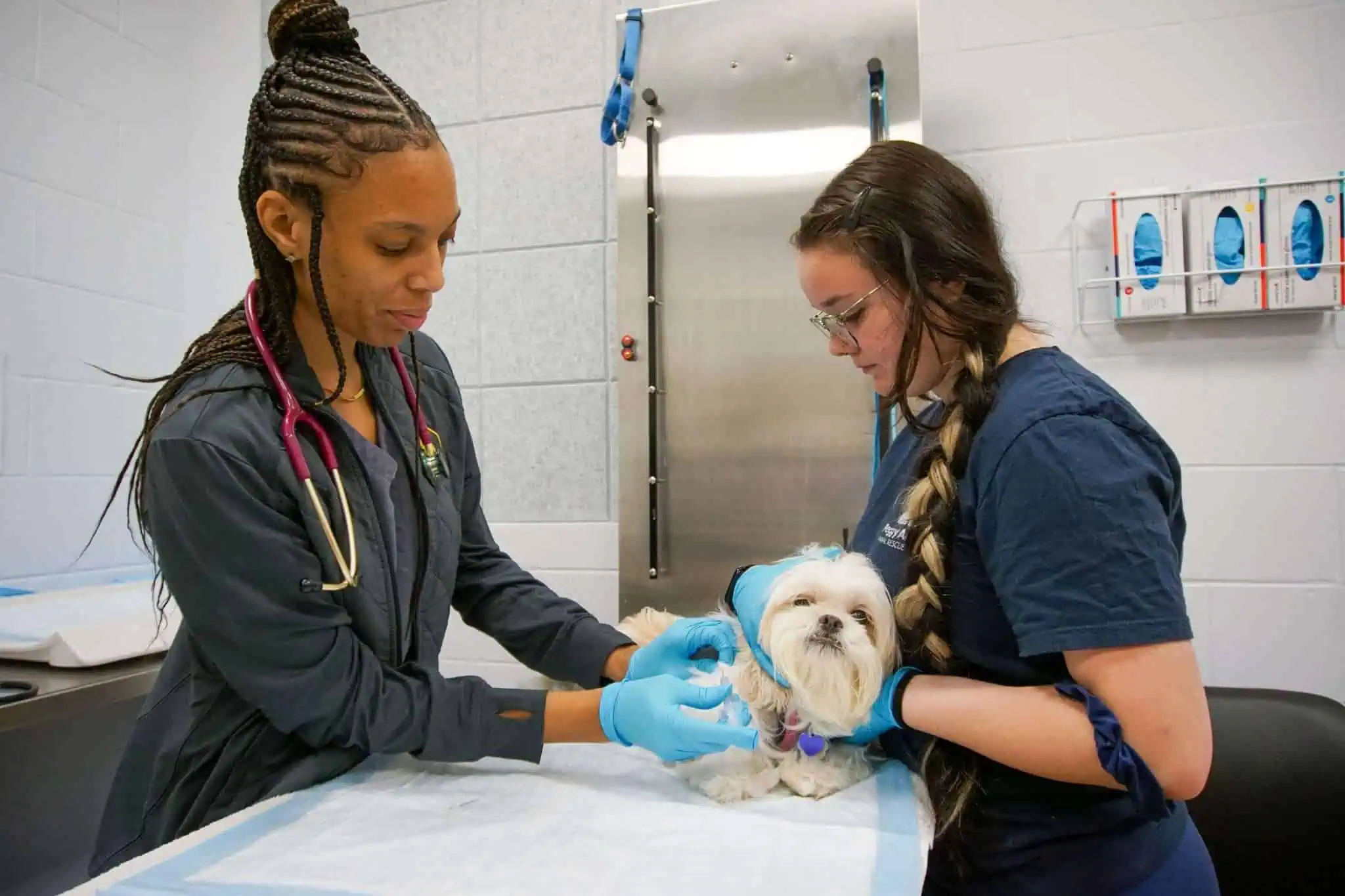 Photo of the Peggy Adams veterinary offices