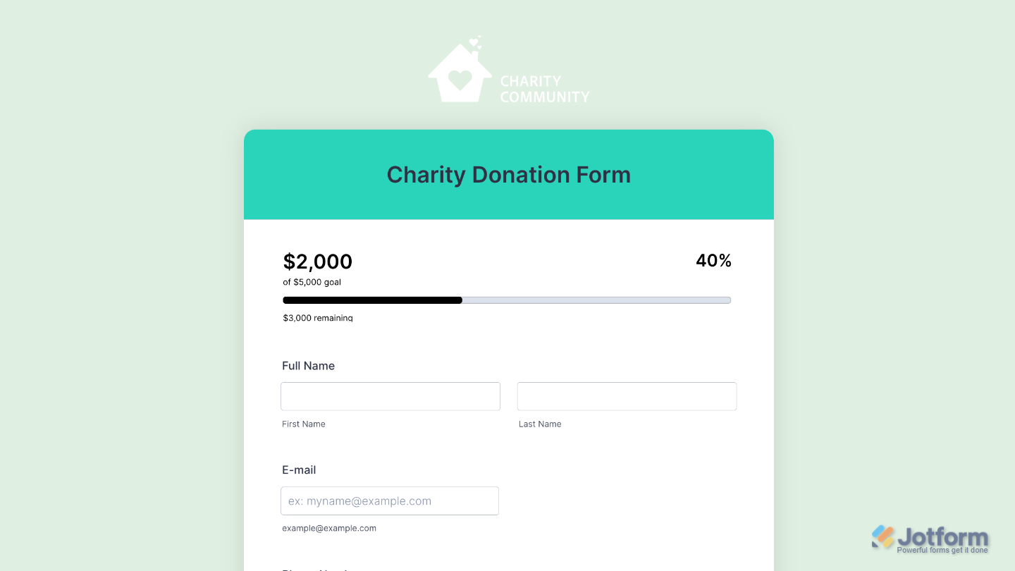 Fundraising Progress Meter widget shown in a live demo form, displaying the campaign's fundraising progress and goal