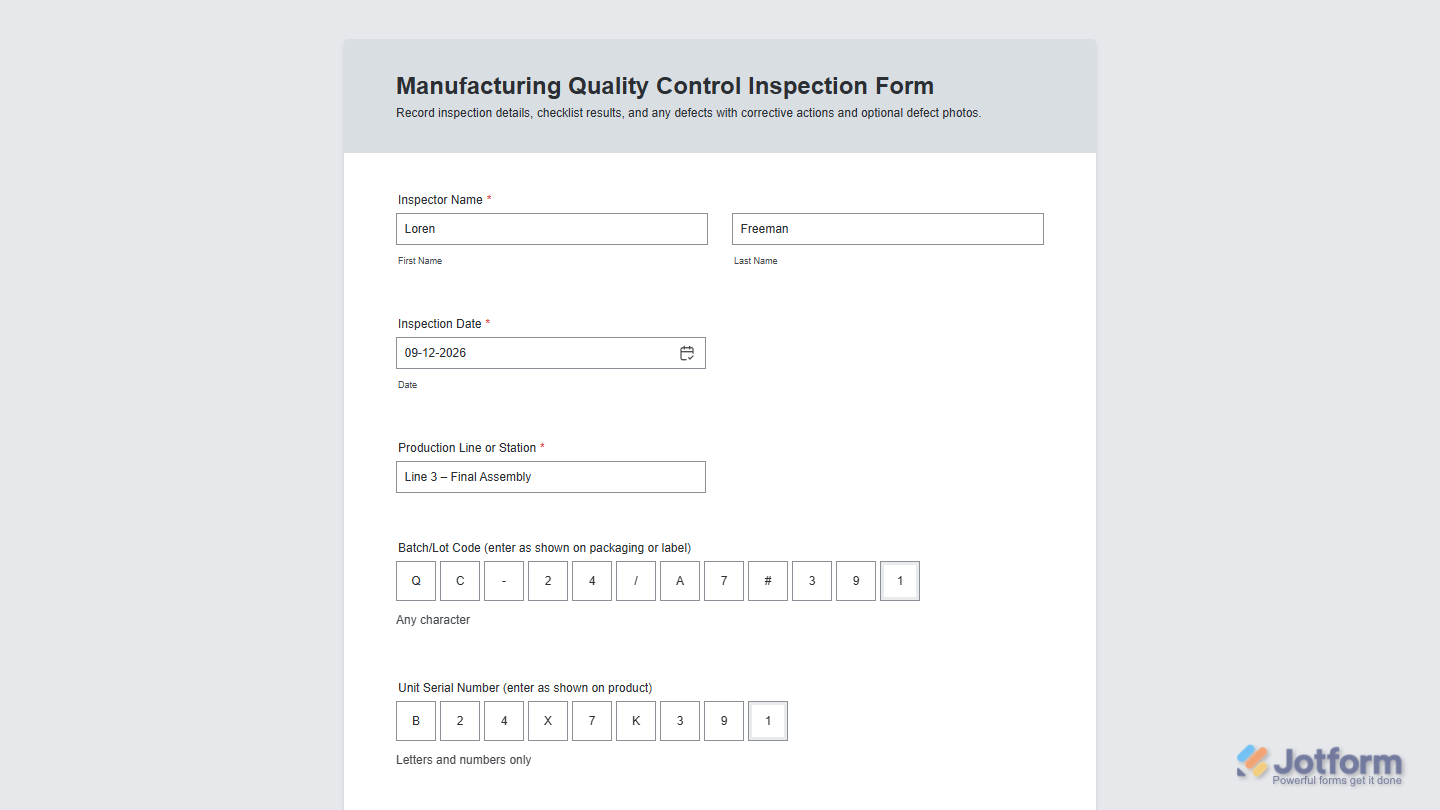 Character Boxes widget on a Jotform Demo form