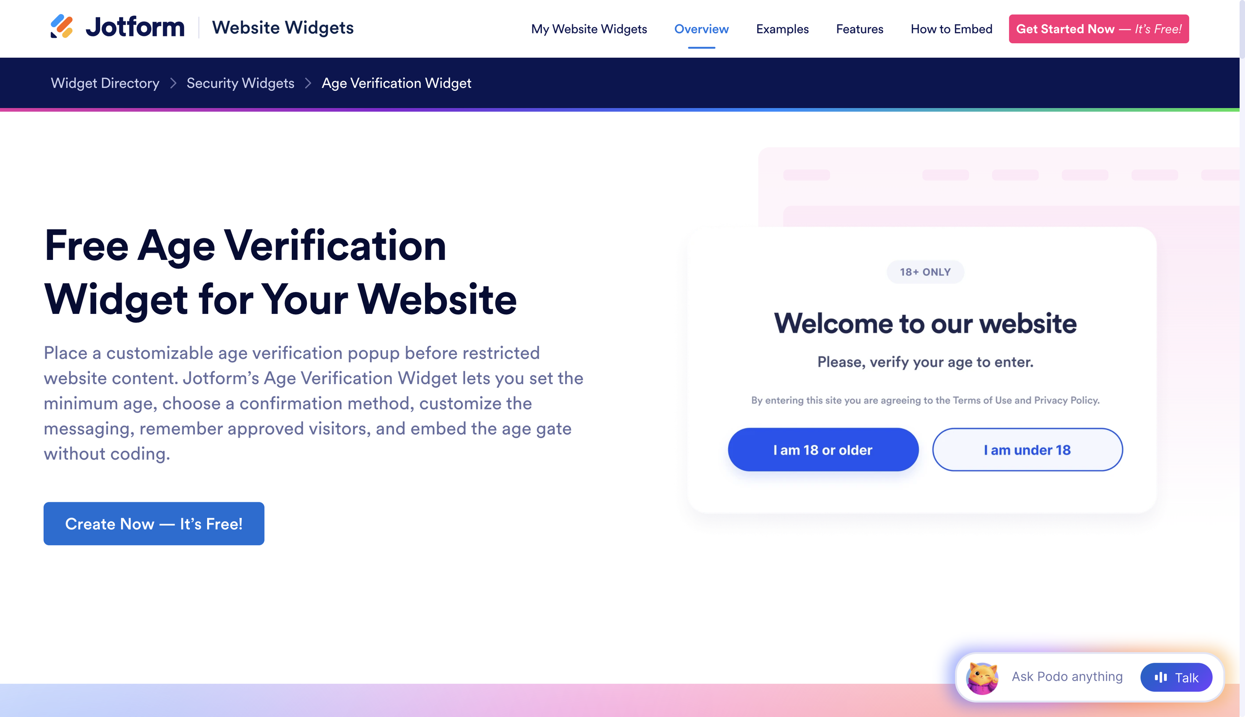 Screenshot of the Jotform Age Verification Widget landing page
