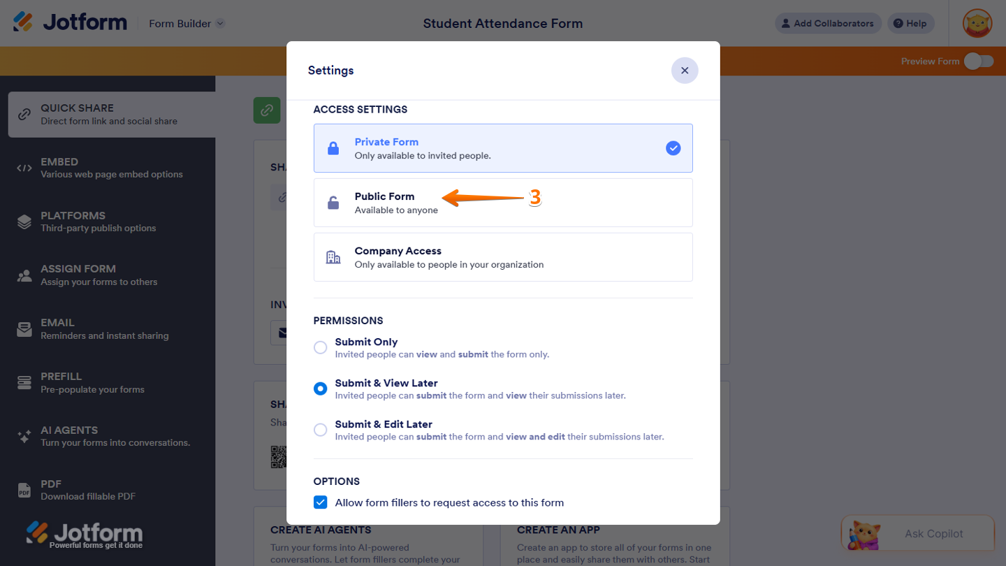 Settings window showing the Access Settings section with the Public Form selected